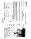 Fig. 23 - Recombinase polymerase amplification