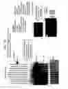 Fig. 24 - Recombinase polymerase amplification
