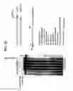 Fig. 25 - Recombinase polymerase amplification