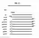 Fig. 26 - Recombinase polymerase amplification