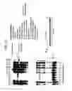 Fig. 27 - Recombinase polymerase amplification