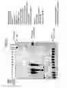 Fig. 29 - Recombinase polymerase amplification