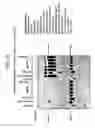 Fig. 30 - Recombinase polymerase amplification