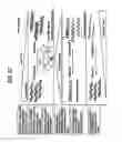 Fig. 32 - Recombinase polymerase amplification