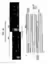 Fig. 47 - Recombinase polymerase amplification