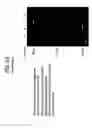 Fig. 58 - Recombinase polymerase amplification