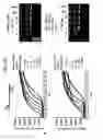 Fig. 60 - Recombinase polymerase amplification