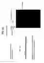 Fig. 65 - Recombinase polymerase amplification