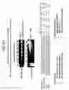 Fig. 72 - Recombinase polymerase amplification