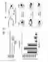 Fig. 78 - Recombinase polymerase amplification