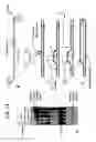 Fig. 79 - Recombinase polymerase amplification