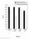Fig. 04 - Isothermal amplification using oligocation-conjugated primer sequences
