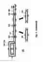 Fig. 05 - Nucleic acid amplification