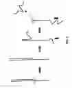 Fig. 02 - Hairpin loop method for double strand polynucleotide sequencing using transmembrane pores