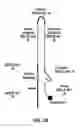 Fig. 19 - Hairpin loop method for double strand polynucleotide sequencing using transmembrane pores