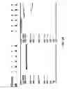 Fig. 25 - Hairpin loop method for double strand polynucleotide sequencing using transmembrane pores
