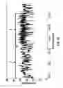 Fig. 29 - Hairpin loop method for double strand polynucleotide sequencing using transmembrane pores