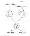 Fig. 02 - METHODS AND COMPOSITIONS FOR TARGETED NUCLEIC ACID SEQUENCING