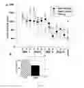 Fig. 05 - METHODS FOR DIAGNOSING AND TREATING ALZHEIMER'S DISEASE (AD) USING THE MOLECULES THAT STABILIZE INTRACELLULAR CALCIUM (Ca2+) RELEASE