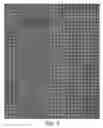 Fig. 08 - Microarray slide for detecting toxic algae, barcodes of DNA, hybridisation solution and method of detecting toxic algae