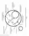 Fig. 04 - Non-replicative transduction particles and transduction particle-based reporter systems