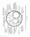 Fig. 09 - Non-replicative transduction particles and transduction particle-based reporter systems