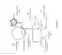 Fig. 13 - Non-replicative transduction particles and transduction particle-based reporter systems