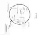 Fig. 14 - Non-replicative transduction particles and transduction particle-based reporter systems