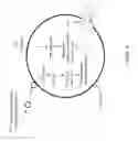 Fig. 16 - Non-replicative transduction particles and transduction particle-based reporter systems