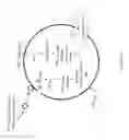 Fig. 17 - Non-replicative transduction particles and transduction particle-based reporter systems