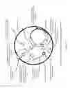 Fig. 06 - Non-replicative transduction particles and transduction particle-based reporter systems