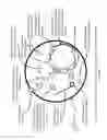 Fig. 08 - Non-replicative transduction particles and transduction particle-based reporter systems
