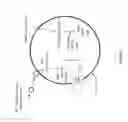 Fig. 14 - Non-replicative transduction particles and transduction particle-based reporter systems