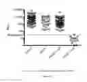 Fig. 23 - Non-replicative transduction particles and transduction particle-based reporter systems