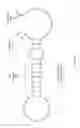 Fig. 28 - Non-replicative transduction particles and transduction particle-based reporter systems
