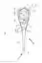 Fig. 02 - Thermometer with age specific feature selection