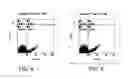 Fig. 05 - SYSTEMS AND METHODS OF DETECTING MALIGNANT CELLS