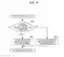 Fig. 07 - Image forming apparatus and feeding device that detect sheets with a sensor that is chosen according to sheet spacing