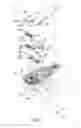 Fig. 02 - Docking station