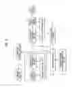 Fig. 06 - Imaging display apparatus and method