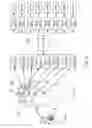 Fig. 07 - Haptic user interface control