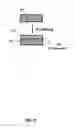 Fig. 10 - Systems and high throughput methods for touch sensors