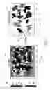 Fig. 08 - Capacitive measurement processing for mode changes
