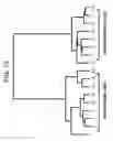 Fig. 16 - SYSTEM AND METHOD FOR PREDICTING TRANSFORMATIVE EVENTS IN MULTIVARIABLE SYSTEMS