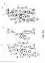 Fig. 02 - Internal linking co-convergence using clustering with hierarchy
