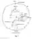 Fig. 02 - Simplified visualization and relevancy assessment of biological pathways