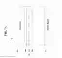Fig. 08 - Organic light emitting diode display device having a dam for controlling flow of encapsulant