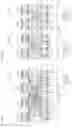 Fig. 35 - Parallel bit interleaver