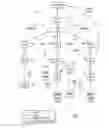 Fig. 02 - Wireless mesh network including resilient backhaul links and WLAN traffic local switching