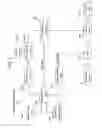 Fig. 07 - Projection display apparatus